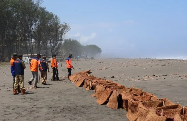 Sabut Kelapa untuk Konservasi Vegetasi Pesisir: Solusi Ramah Lingkungan