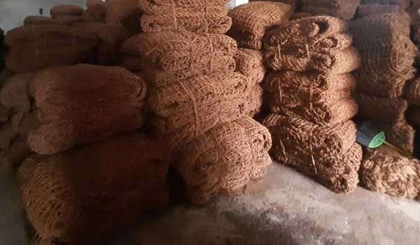 Cocomesh Biodegradable untuk Restorasi Hutan Sekunder