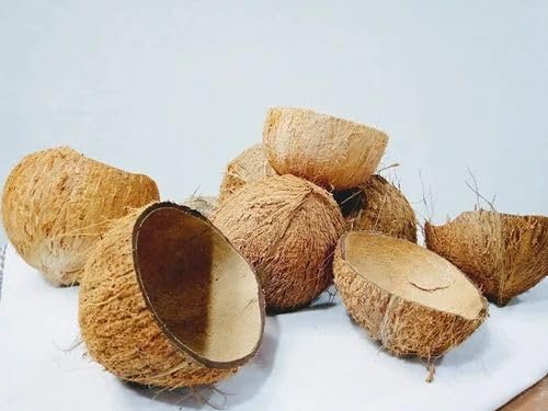 Coconut husk charcoal briquettes produced from natural coconut