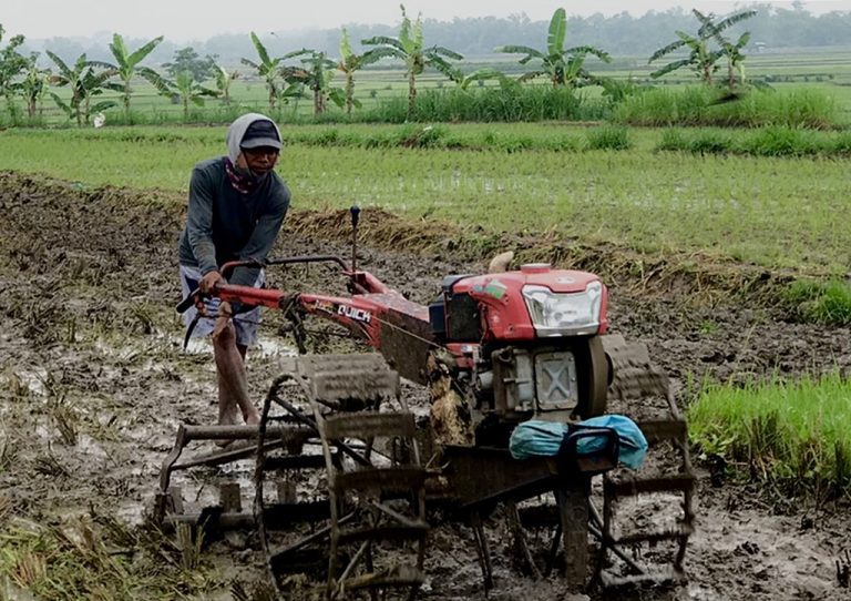 Peluang Usaha Sewa Cultivator yang Menjanjikan