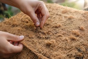 Tips Merawat Cocomesh Agar Tetap Awet