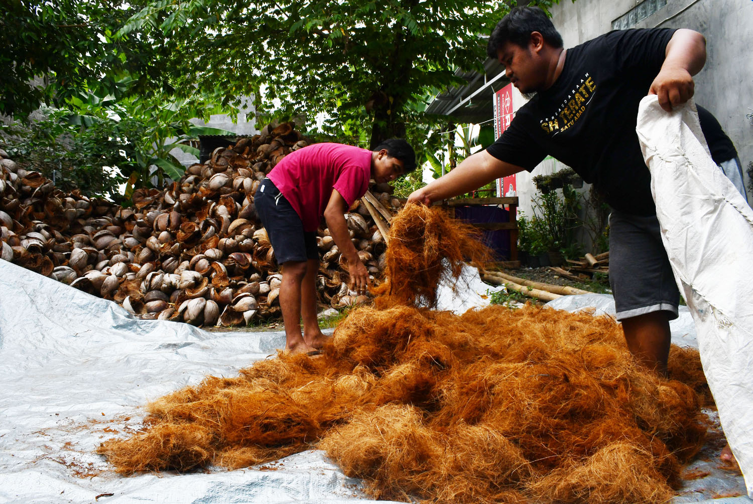 pengolahan sabut kelapa