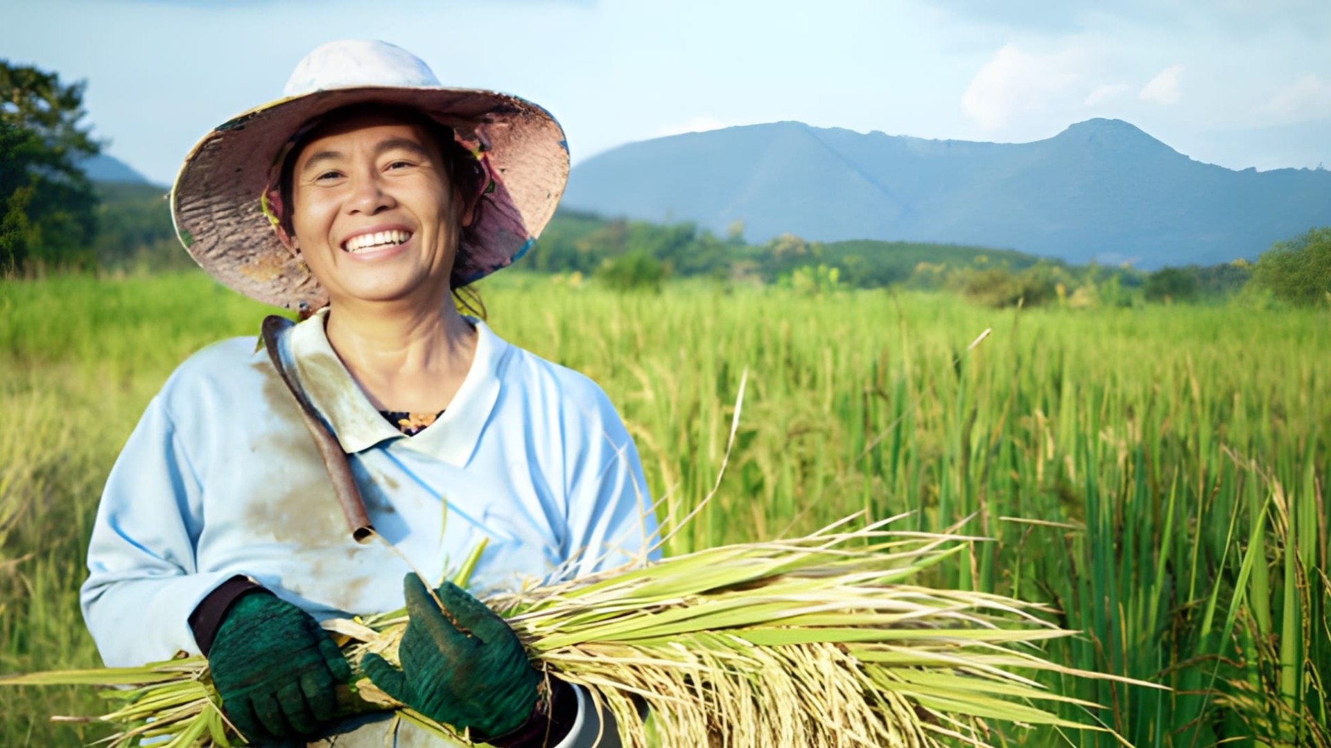 efisiensi panen lahan luas