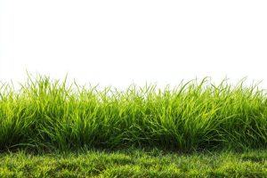 Prinsip Kerja Alat Pencacah Rumput dalam Produksi Pakan Efisien