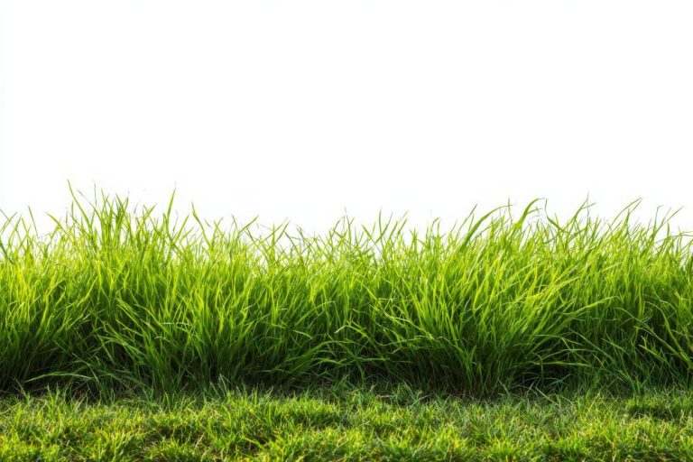 Prinsip Kerja Alat Pencacah Rumput dalam Produksi Pakan Efisien