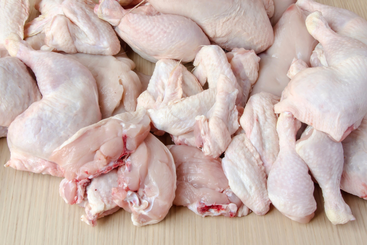 Usaha Ayam Potong Lebih Efisien