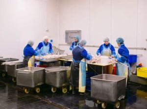 Standar Bersih dalam Produksi Makanan
