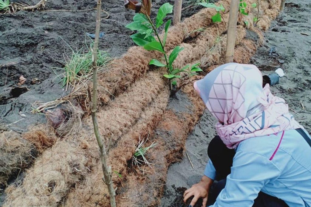 Cocomesh Media Tanam Berbahan Alami Untuk Vegetasi