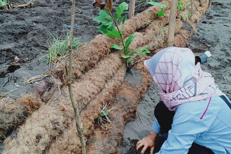 Cocomesh Media Tanam Berbahan Alami Untuk Vegetasi