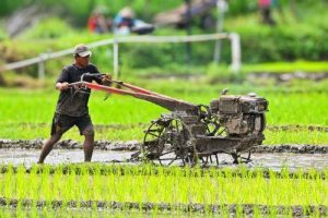 Tips Menghemat Tenaga Saat Membajak Tanpa Mengurangi Hasil