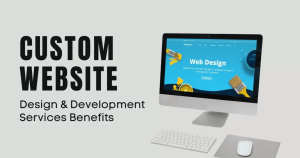 Proses Menentukan Fitur Custom untuk Website