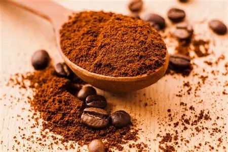 persiapan buah kopi sebelum proses pengupasan