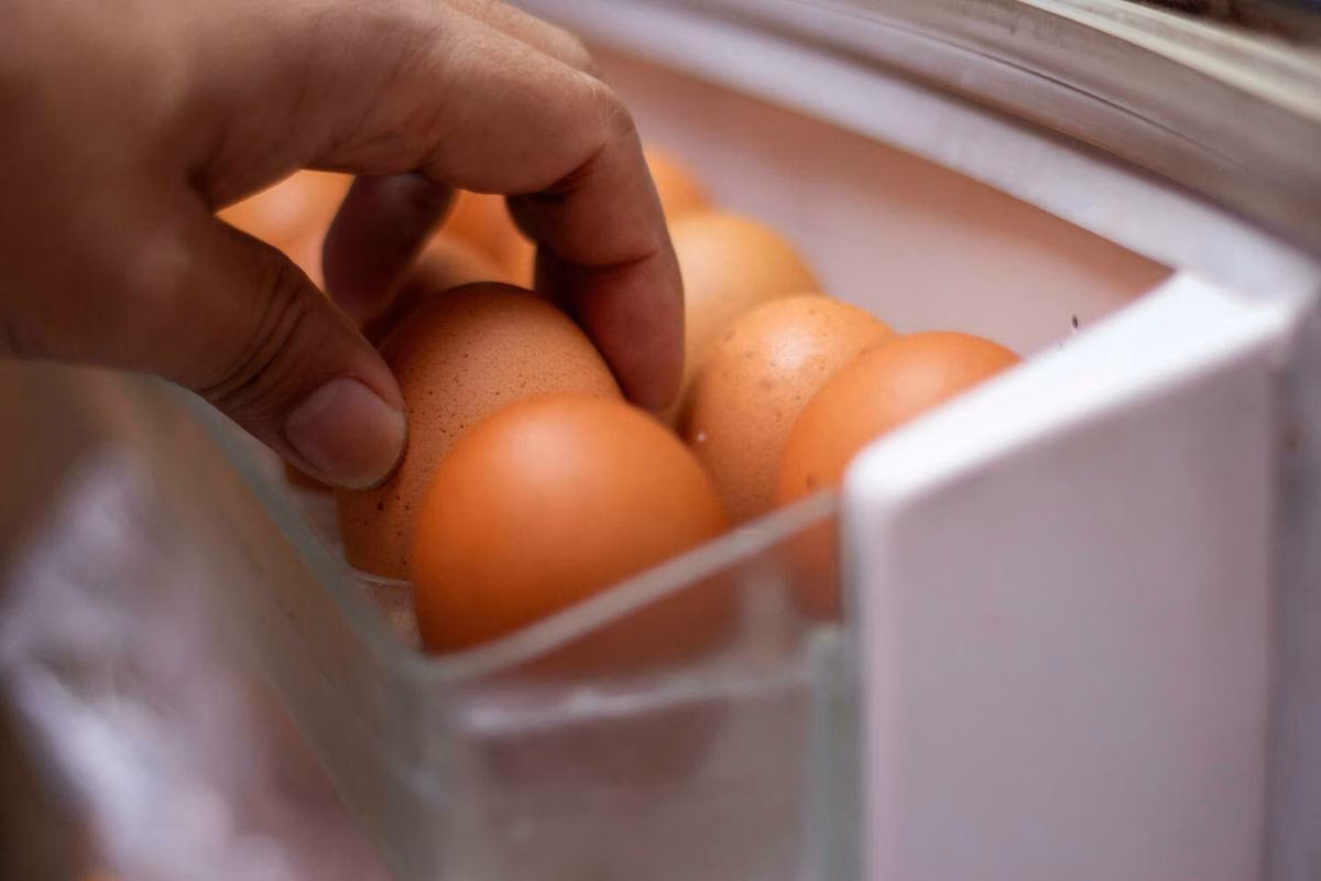 cara menyimpan telur agar lebih awet