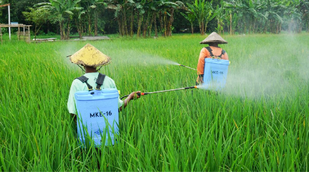 Tips Semprotan Tanaman Lebih Merata, Hasil Optimal