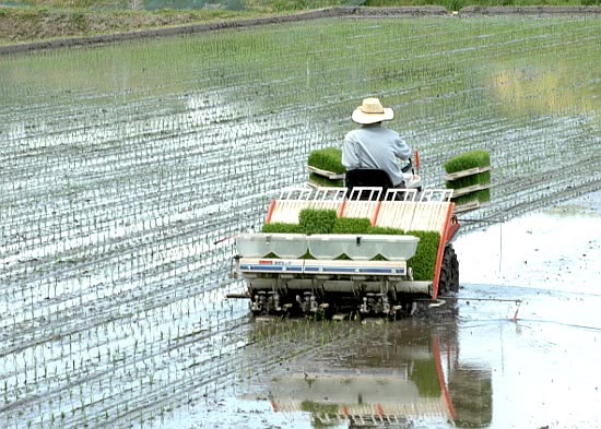 Pemeriksaan Komponen Penanam Sebelum ke Sawah