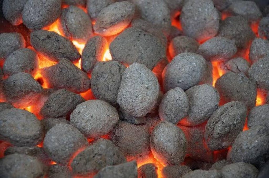 Bahan Baku Alternatif untuk Briket yang Bernilai Ekonomis