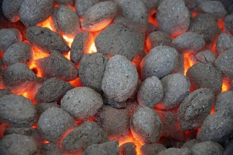 Bahan Baku Alternatif untuk Briket yang Bernilai Ekonomis